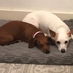 Meet your Posher, Anita